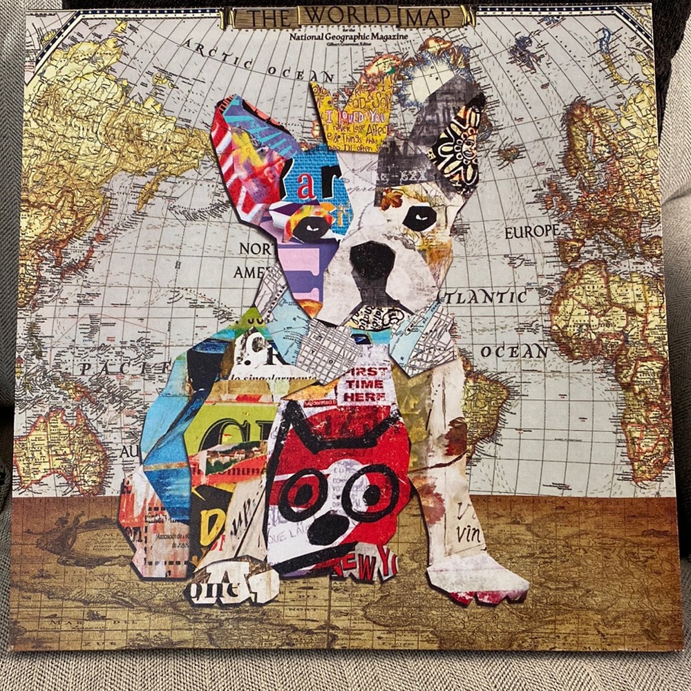 French Bull Dog Canvas Print
